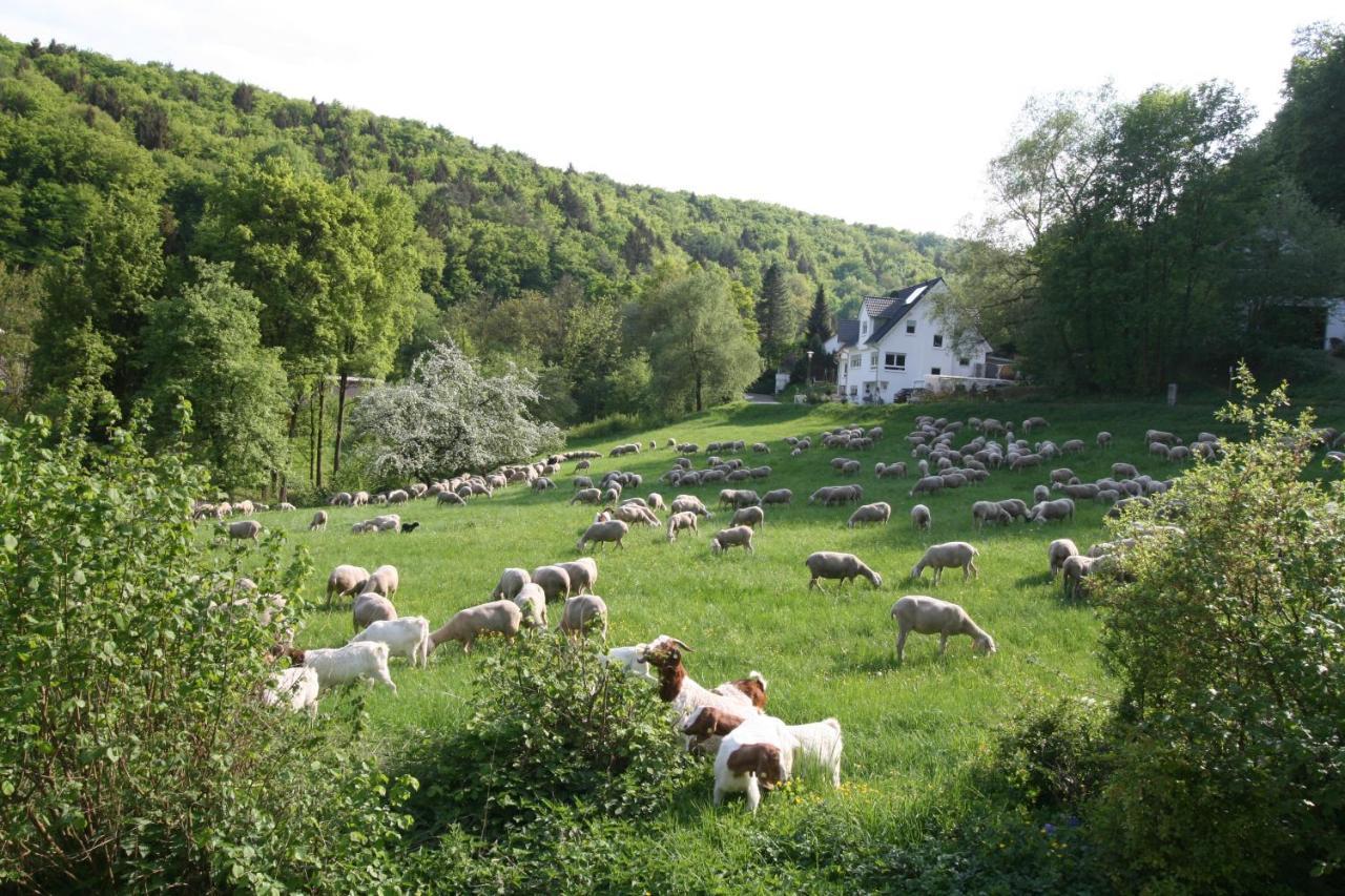 B&B Arlesbrunnen Egloffstein Экстерьер фото